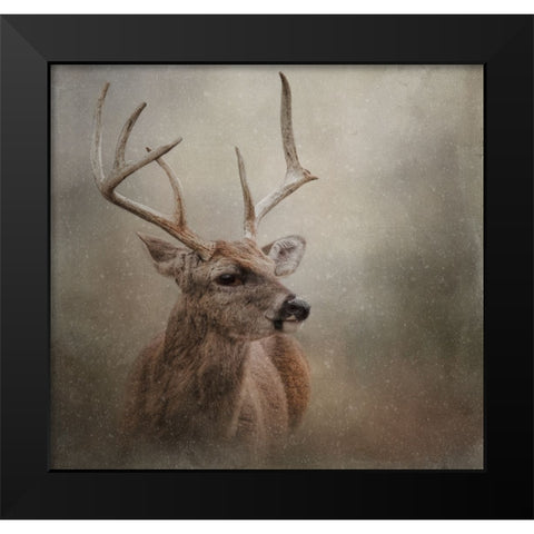 Winter Messenger Black Modern Wood Framed Art Print by Parker, Kelley