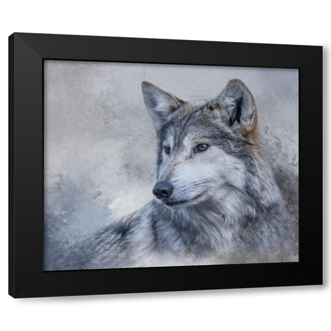 Gazing Off Black Modern Wood Framed Art Print with Double Matting by Parker, Kelley