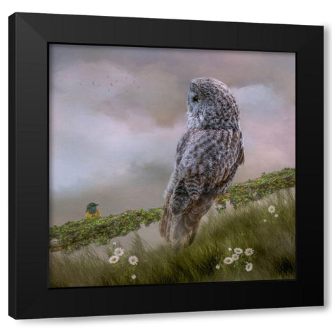 In the Meadow Black Modern Wood Framed Art Print with Double Matting by Parker, Kelley