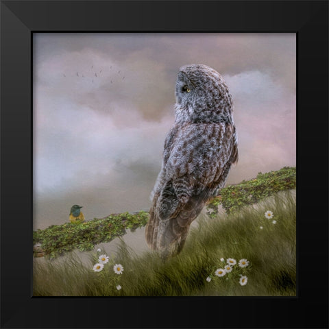 In the Meadow Black Modern Wood Framed Art Print by Parker, Kelley