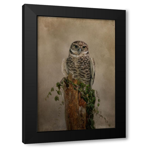 Small But Mighty Black Modern Wood Framed Art Print with Double Matting by Parker, Kelley