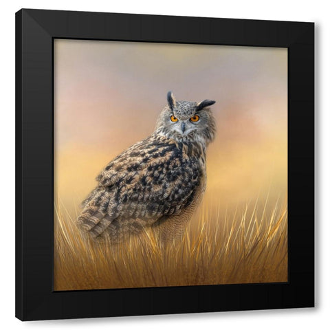 Start of a New Day Black Modern Wood Framed Art Print with Double Matting by Parker, Kelley