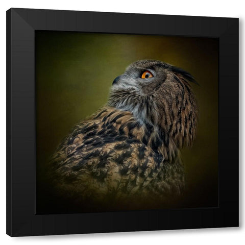 Whats Above Black Modern Wood Framed Art Print with Double Matting by Parker, Kelley