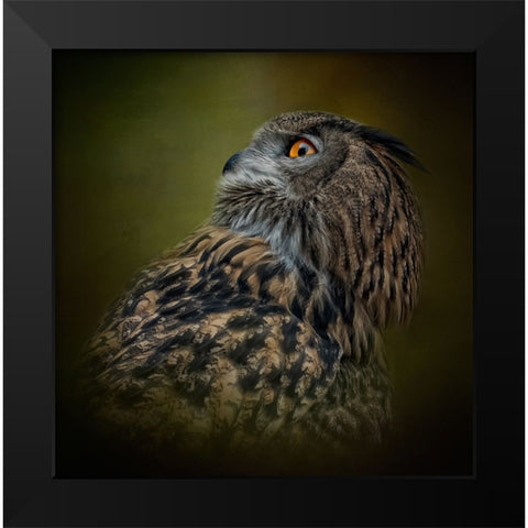 Whats Above Black Modern Wood Framed Art Print by Parker, Kelley