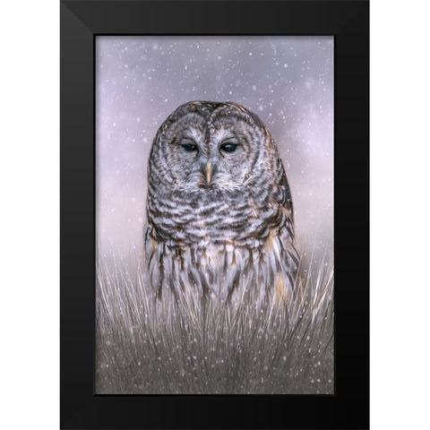 Winters Twilight Black Modern Wood Framed Art Print by Parker, Kelley