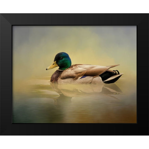 Mr. Mallard Black Modern Wood Framed Art Print by Parker, Kelley