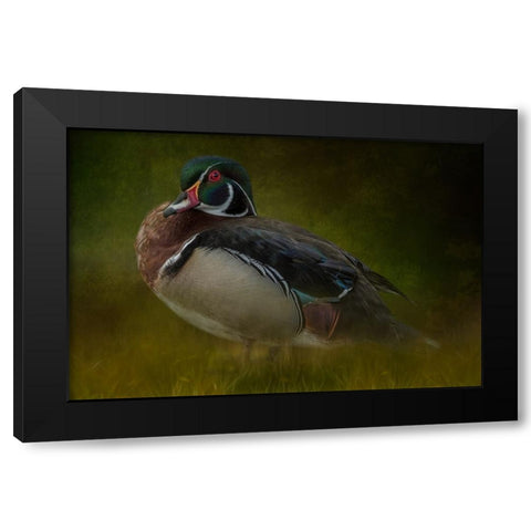 The Woodsman Black Modern Wood Framed Art Print with Double Matting by Parker, Kelley