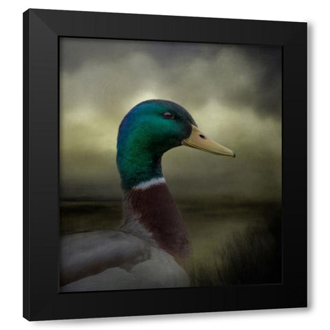 Dapper Drake Black Modern Wood Framed Art Print by Parker, Kelley