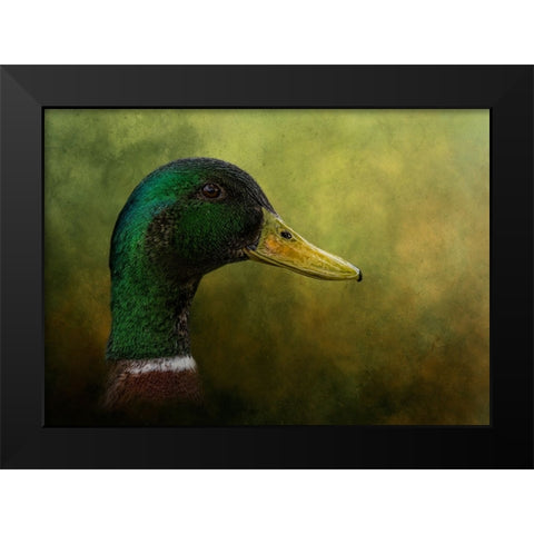 Draped in Green Black Modern Wood Framed Art Print by Parker, Kelley