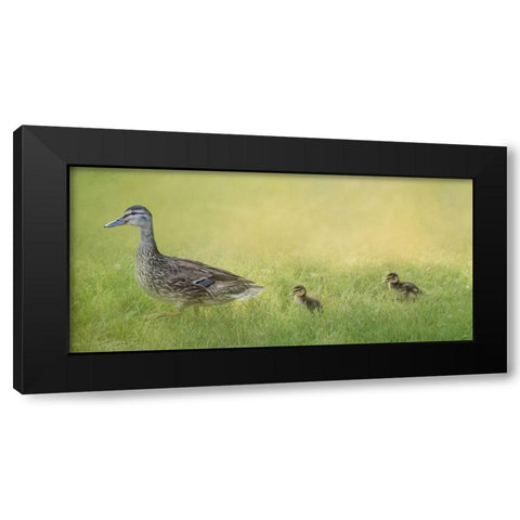 Follow the Leader Black Modern Wood Framed Art Print with Double Matting by Parker, Kelley