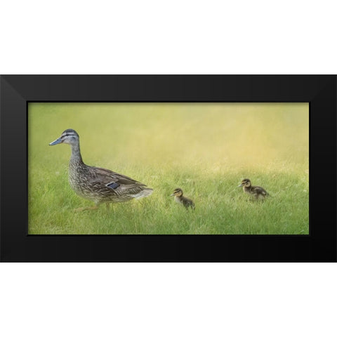 Follow the Leader Black Modern Wood Framed Art Print by Parker, Kelley