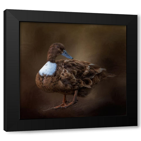 Just Ducky Black Modern Wood Framed Art Print with Double Matting by Parker, Kelley