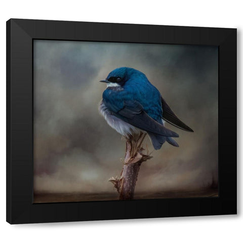 Big Blue Boy Black Modern Wood Framed Art Print by Parker, Kelley