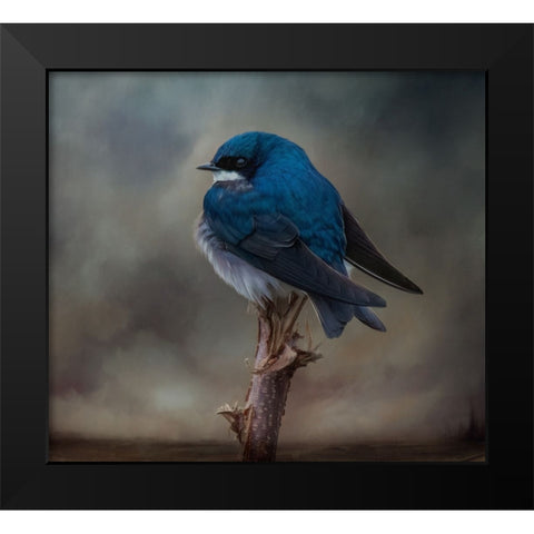 Big Blue Boy Black Modern Wood Framed Art Print by Parker, Kelley