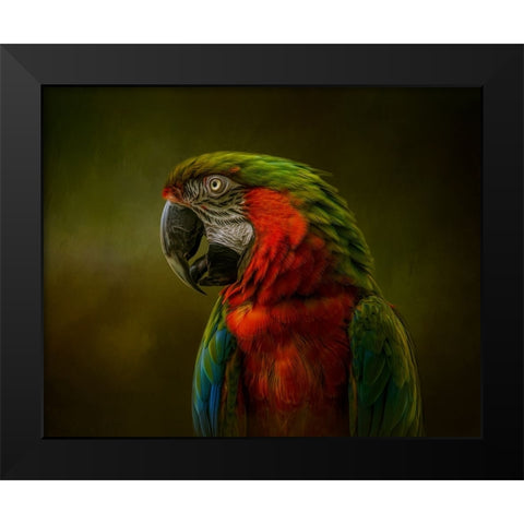 Harlequin Beauty Black Modern Wood Framed Art Print by Parker, Kelley