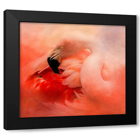 Divine Beauty Black Modern Wood Framed Art Print with Double Matting by Parker, Kelley