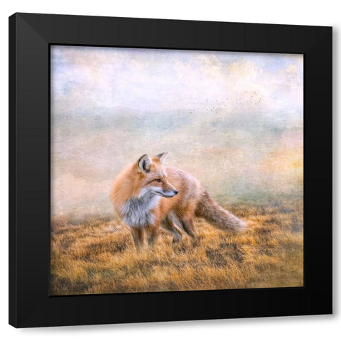 Seeking Mischief Black Modern Wood Framed Art Print with Double Matting by Parker, Kelley