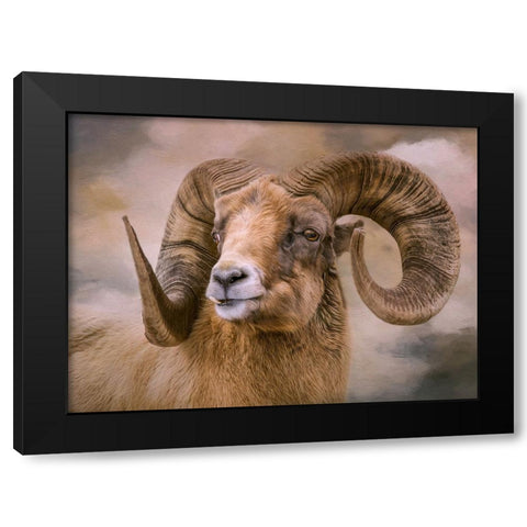 Mountain Dweller Black Modern Wood Framed Art Print with Double Matting by Parker, Kelley