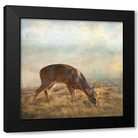Mornings Foraging Black Modern Wood Framed Art Print by Parker, Kelley