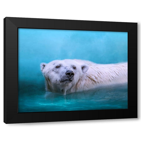 Arctic Swimmer Black Modern Wood Framed Art Print with Double Matting by Parker, Kelley