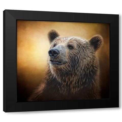 Golden Glow Grizzly Black Modern Wood Framed Art Print by Parker, Kelley