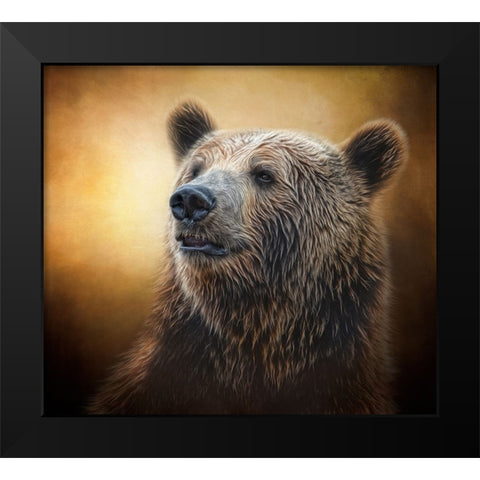 Golden Glow Grizzly Black Modern Wood Framed Art Print by Parker, Kelley