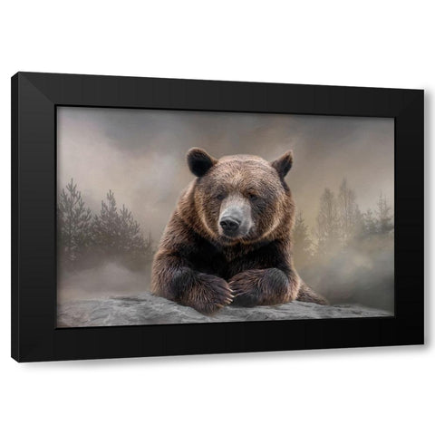 Grizzly Summit Black Modern Wood Framed Art Print with Double Matting by Parker, Kelley