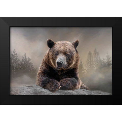 Grizzly Summit Black Modern Wood Framed Art Print by Parker, Kelley