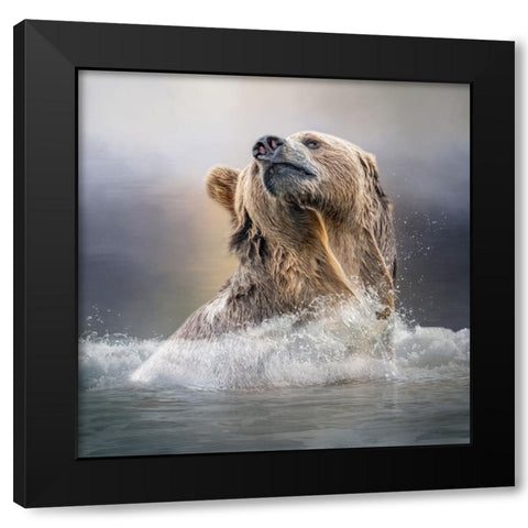 Grizzly Waters Black Modern Wood Framed Art Print with Double Matting by Parker, Kelley