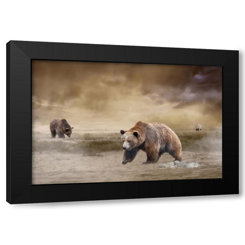 Land of the Grizzly Black Modern Wood Framed Art Print by Parker, Kelley