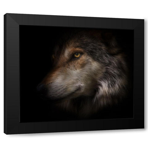 Where Light and Dark Meet Black Modern Wood Framed Art Print by Parker, Kelley