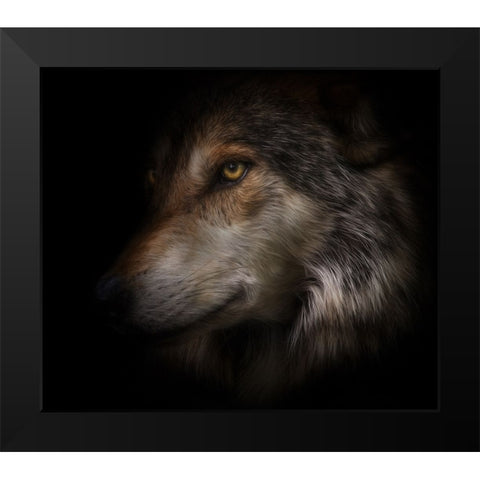 Where Light and Dark Meet Black Modern Wood Framed Art Print by Parker, Kelley