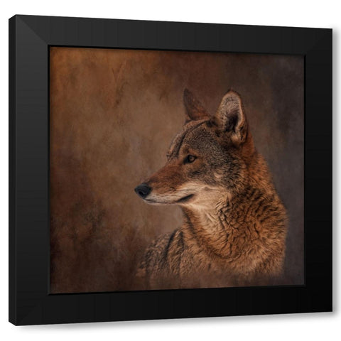 Line of Sight Black Modern Wood Framed Art Print by Parker, Kelley