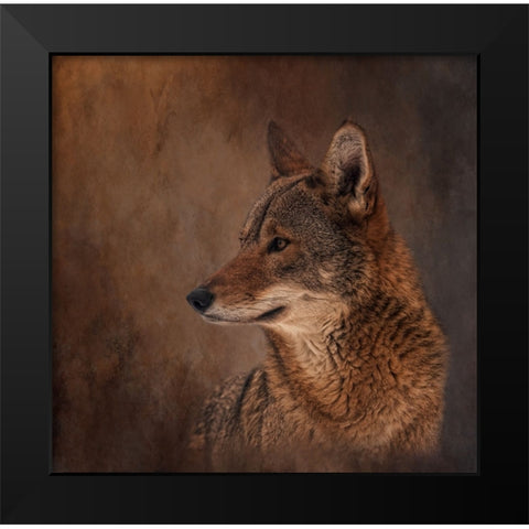 Line of Sight Black Modern Wood Framed Art Print by Parker, Kelley