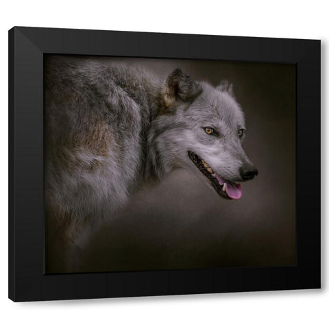 Eye on the Prize Black Modern Wood Framed Art Print by Parker, Kelley