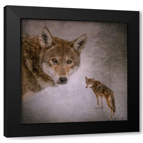 I Am Wolf Black Modern Wood Framed Art Print by Parker, Kelley