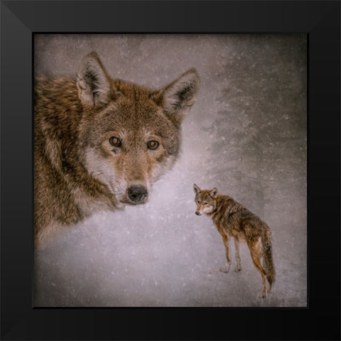 I Am Wolf Black Modern Wood Framed Art Print by Parker, Kelley