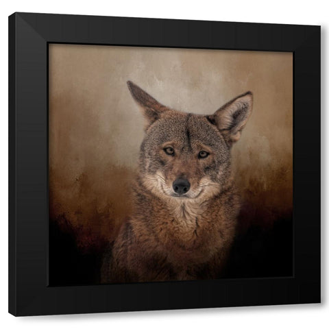 Eyes of the Wolf Black Modern Wood Framed Art Print by Parker, Kelley