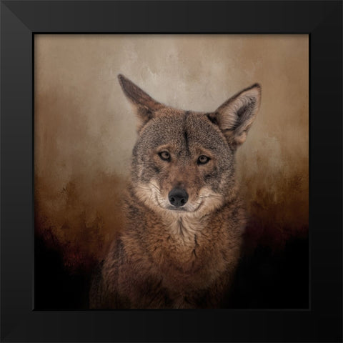 Eyes of the Wolf Black Modern Wood Framed Art Print by Parker, Kelley