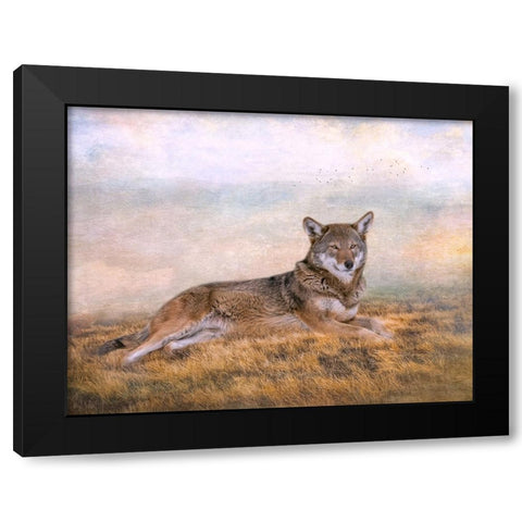 Distant Gaze Black Modern Wood Framed Art Print by Parker, Kelley