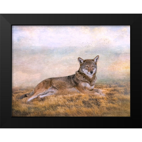 Distant Gaze Black Modern Wood Framed Art Print by Parker, Kelley