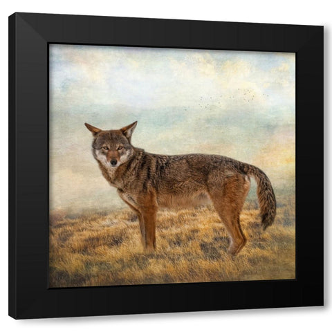 Interested Gaze Black Modern Wood Framed Art Print by Parker, Kelley