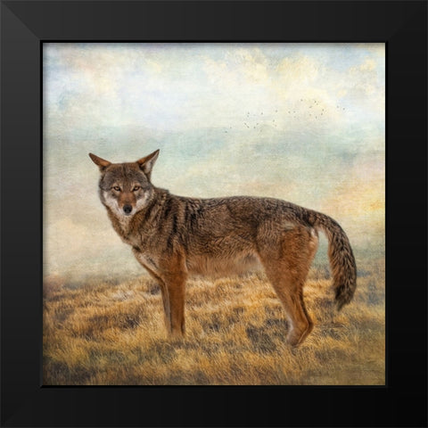 Interested Gaze Black Modern Wood Framed Art Print by Parker, Kelley