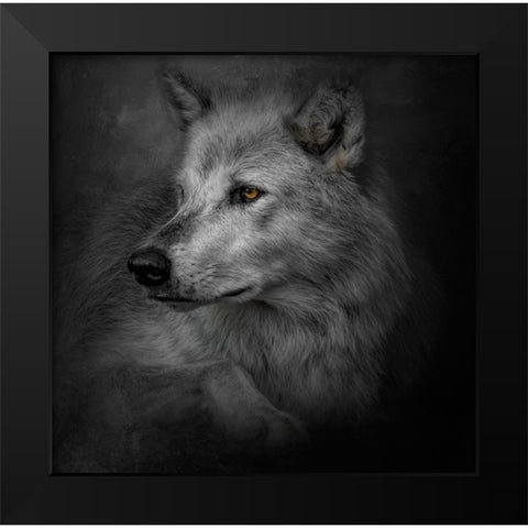 Lonely Soul Black Modern Wood Framed Art Print by Parker, Kelley