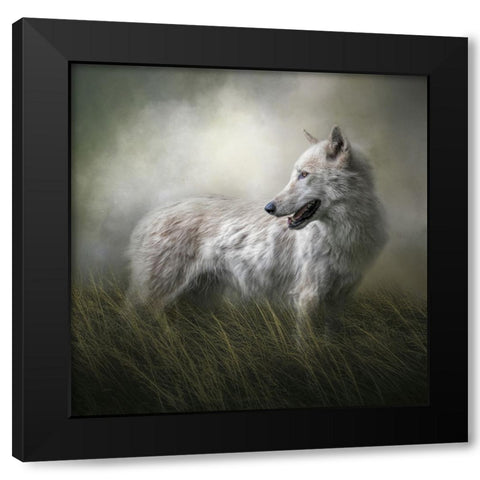 One Last Look Black Modern Wood Framed Art Print with Double Matting by Parker, Kelley