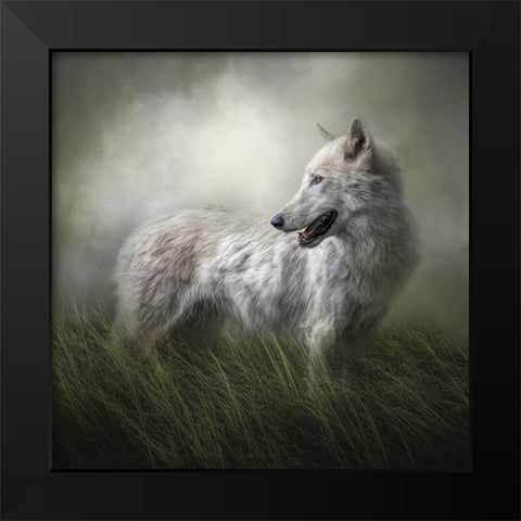 One Last Look Black Modern Wood Framed Art Print by Parker, Kelley