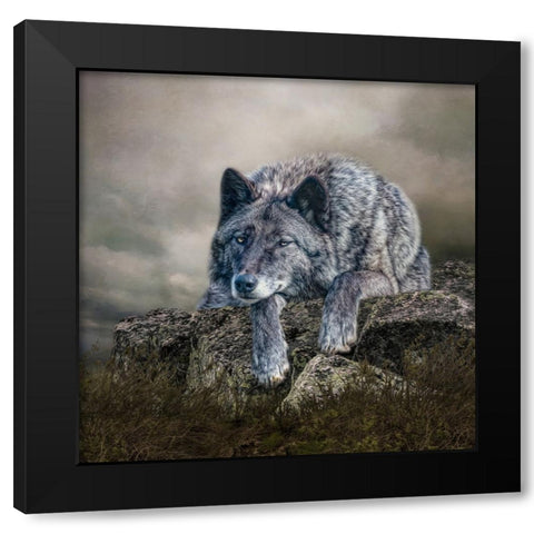 Rocky Perch Black Modern Wood Framed Art Print with Double Matting by Parker, Kelley