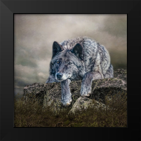 Rocky Perch Black Modern Wood Framed Art Print by Parker, Kelley