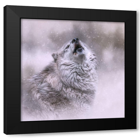 First Call of Winter Black Modern Wood Framed Art Print by Parker, Kelley