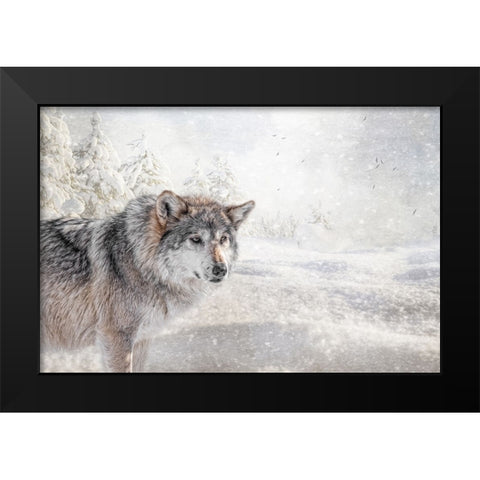Fresh Snow Black Modern Wood Framed Art Print by Parker, Kelley